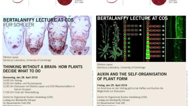 Posterankündigung Bertalanffy Lecture April 2016