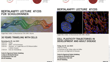 Posterankündigung Bertalanffy Lecture Juni 2023